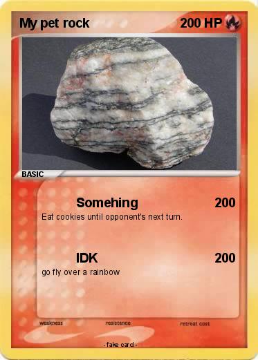 Pokemon My pet rock