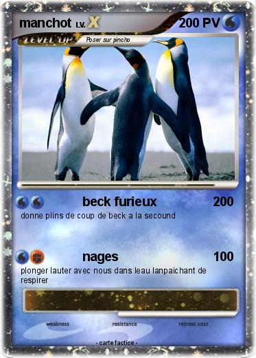 Pokemon manchot