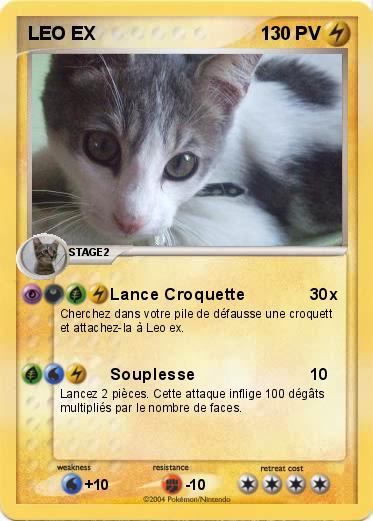 Pokemon LEO EX