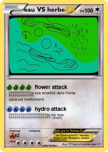 Pokemon eau VS herbe