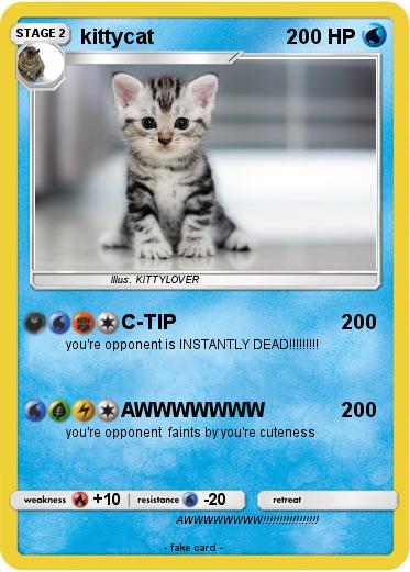 Pokemon kittycat