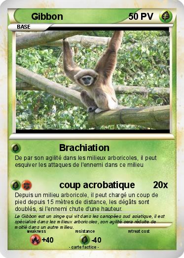 Pokemon Gibbon