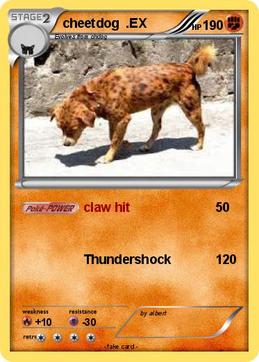 Pokemon cheetdog  .EX