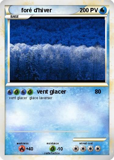 Pokemon foré d'hiver