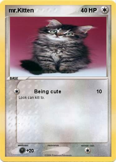 Pokemon mr.Kitten