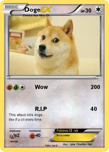 Pokemon Doge