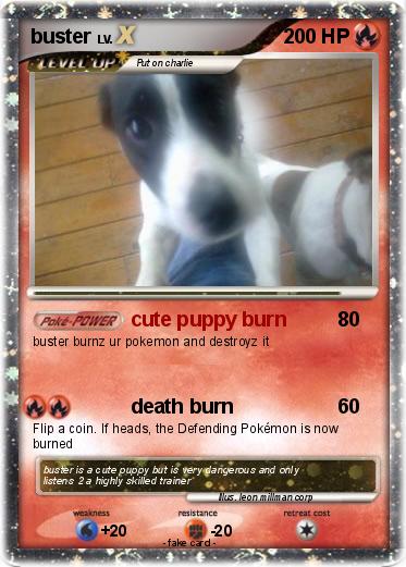 Pokemon buster