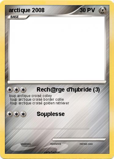 Pokemon arctique 2008