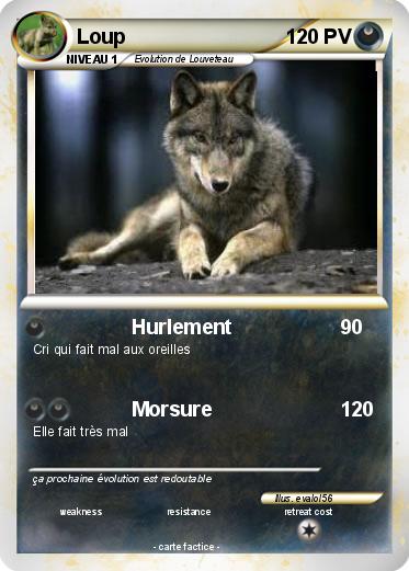 Pokemon Loup