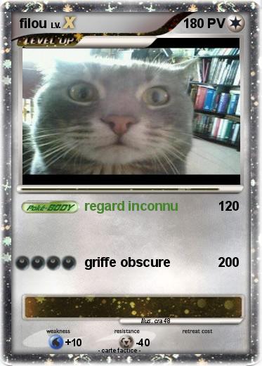 Pokemon filou