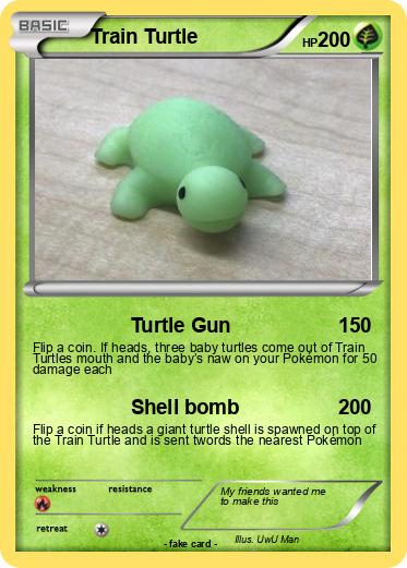 Pokemon Train Turtle