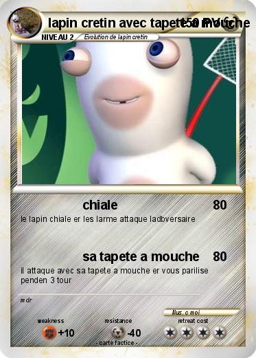 Pokemon lapin cretin avec tapete a mouche