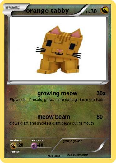 Pokemon orange tabby