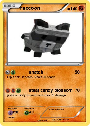 Pokemon raccoon