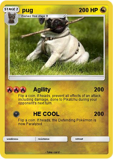 Pokemon pug