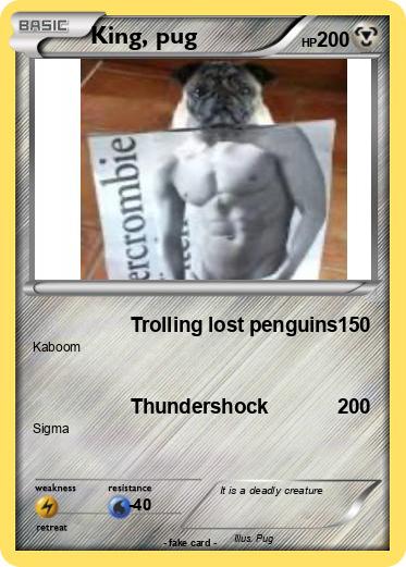 Pokemon King, pug