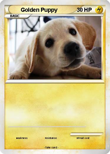 Pokemon Golden Puppy