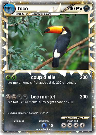 Pokemon toco