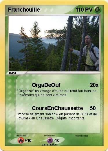 Pokemon Franchouille