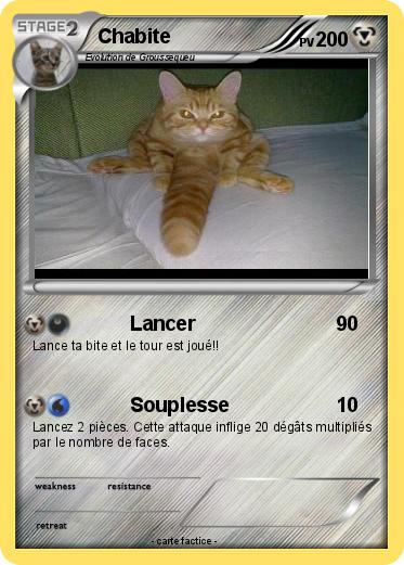 Pokemon Chabite