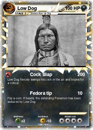 Pokemon Low Dog