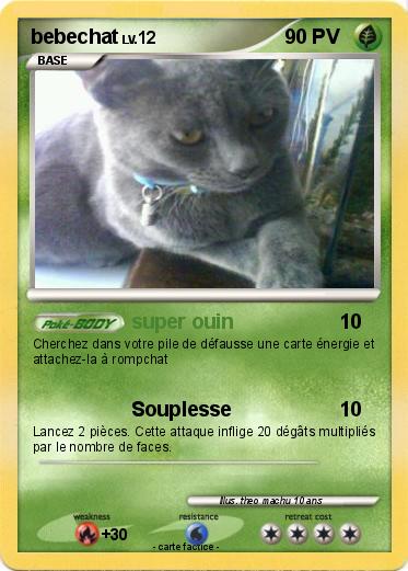 Pokemon bebechat