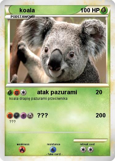 Pokemon koala