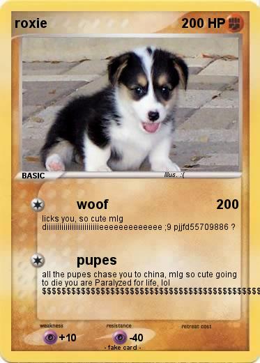 Pokemon roxie