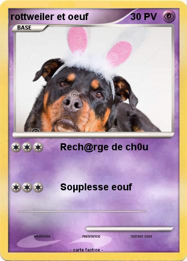 Pokemon rottweiler et oeuf