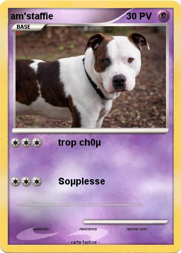 Pokemon am'staffie