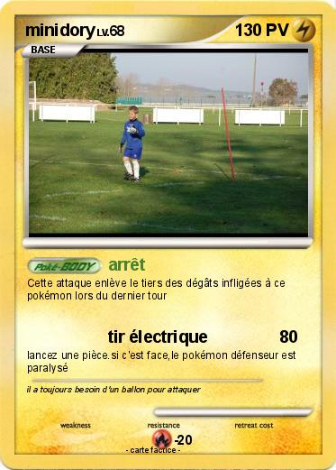 Pokemon minidory