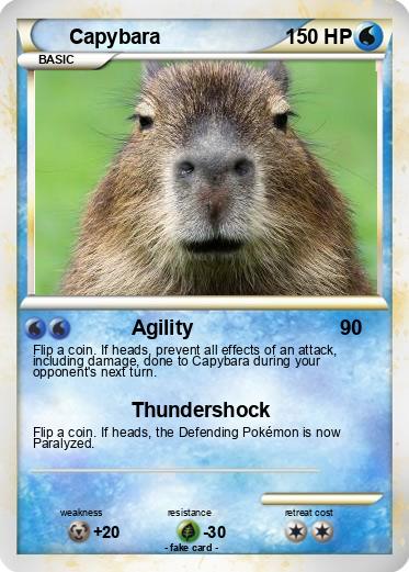 Pokemon Capybara