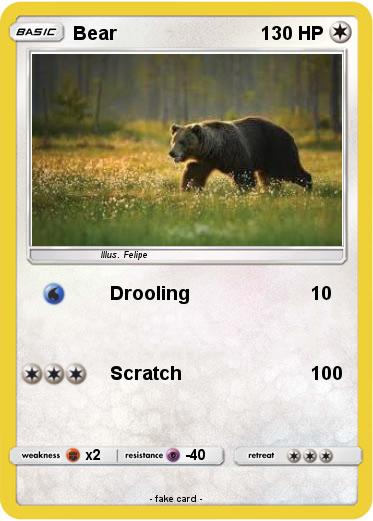 Pokemon Bear