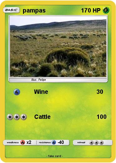 Pokemon pampas