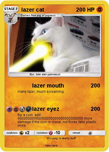 Pokemon lazer cat