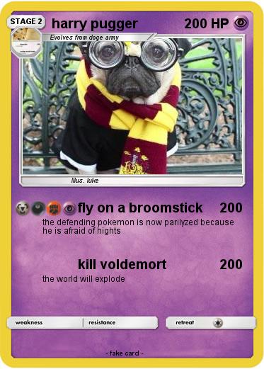 Pokemon harry pugger