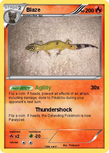 Pokemon Blaze