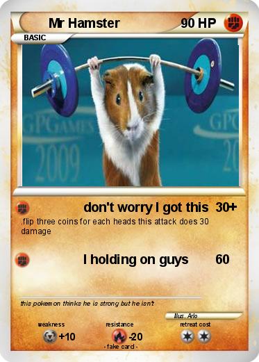 Pokemon Mr Hamster