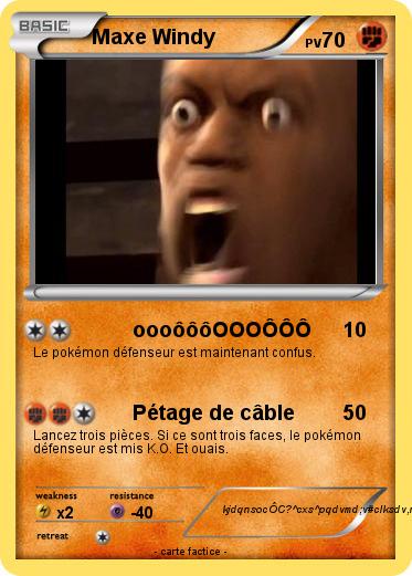 Pokemon Maxe Windy