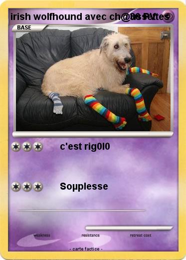 Pokemon irish wolfhound avec ch@ussettes