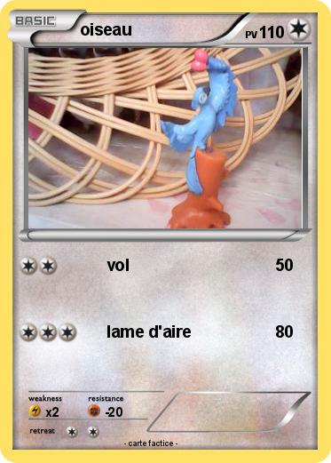 Pokemon oiseau