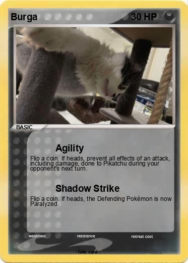 Pokemon Burga