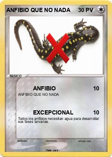Pokemon ANFIBIO QUE NO NADA
