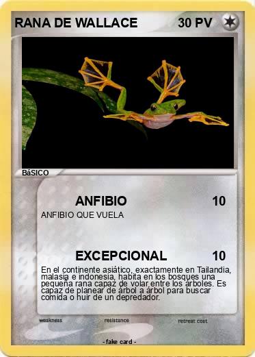 Pokemon RANA DE WALLACE