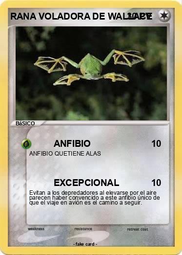 Pokemon RANA VOLADORA DE WALLACE