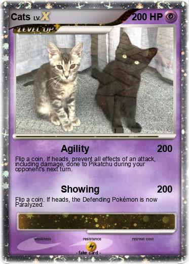 Pokemon Cats