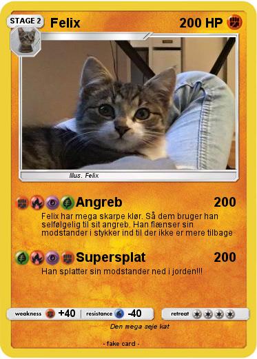 Pokemon Felix