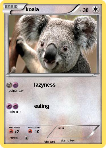 Pokemon koala