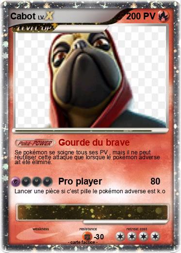 Pokemon Cabot