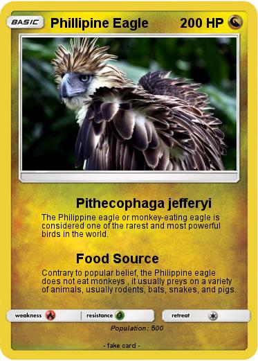 Pokemon Phillipine Eagle